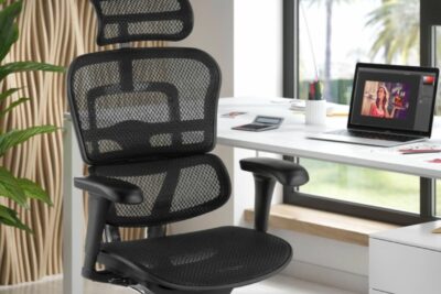 Ergohuman Elite Mesh